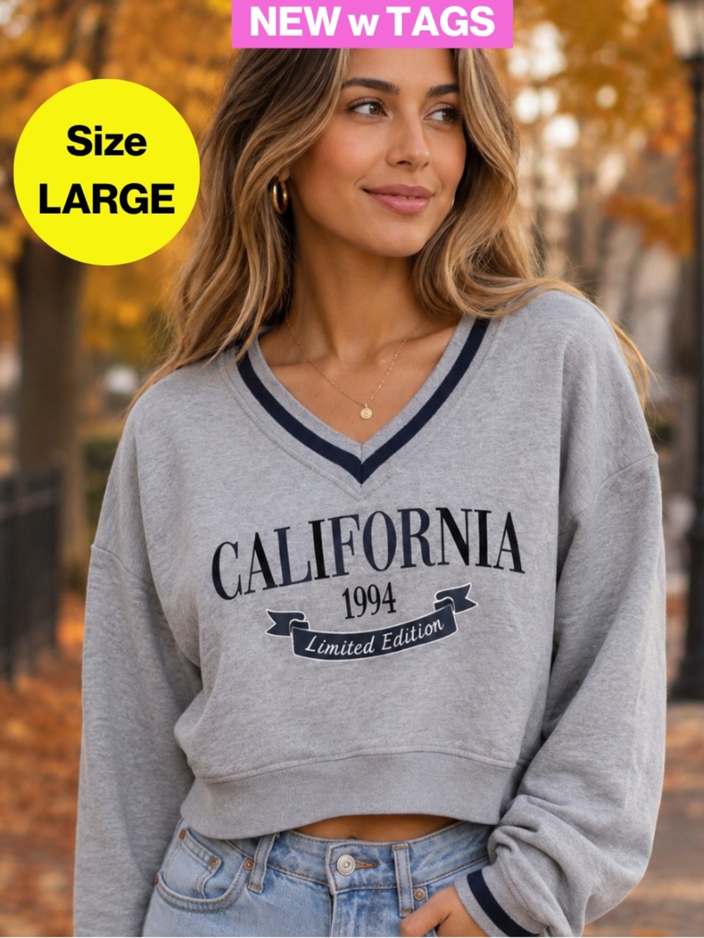 NEW w TAGS 🔖 2/for $20 🪩 Blue, Gray California V-Neck Sweater (Size Large)